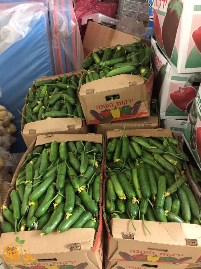 lud lajna zakahshd (14).jpg